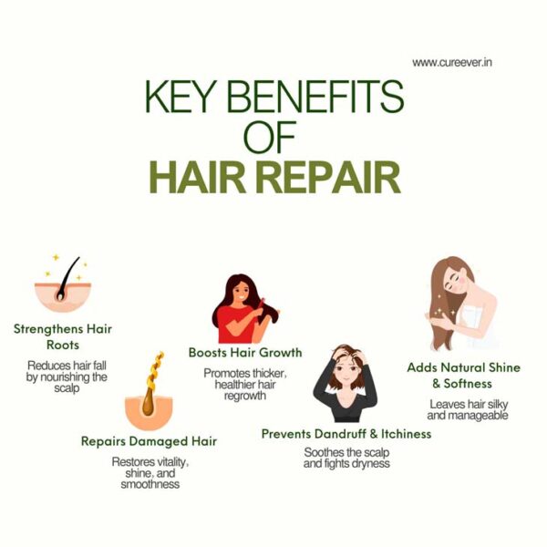 Hair Repair – 100% Organic Herbal Hair Pack - Image 6