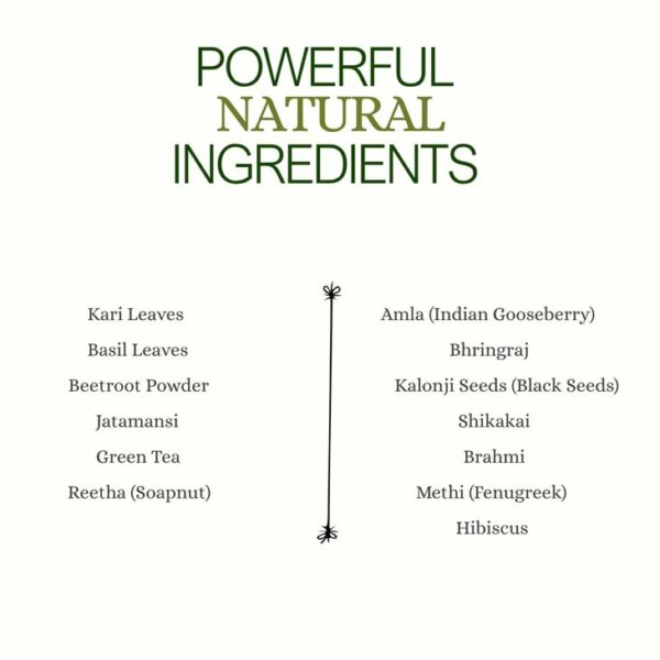 Hair Repair – 100% Organic Herbal Hair Pack - Image 5